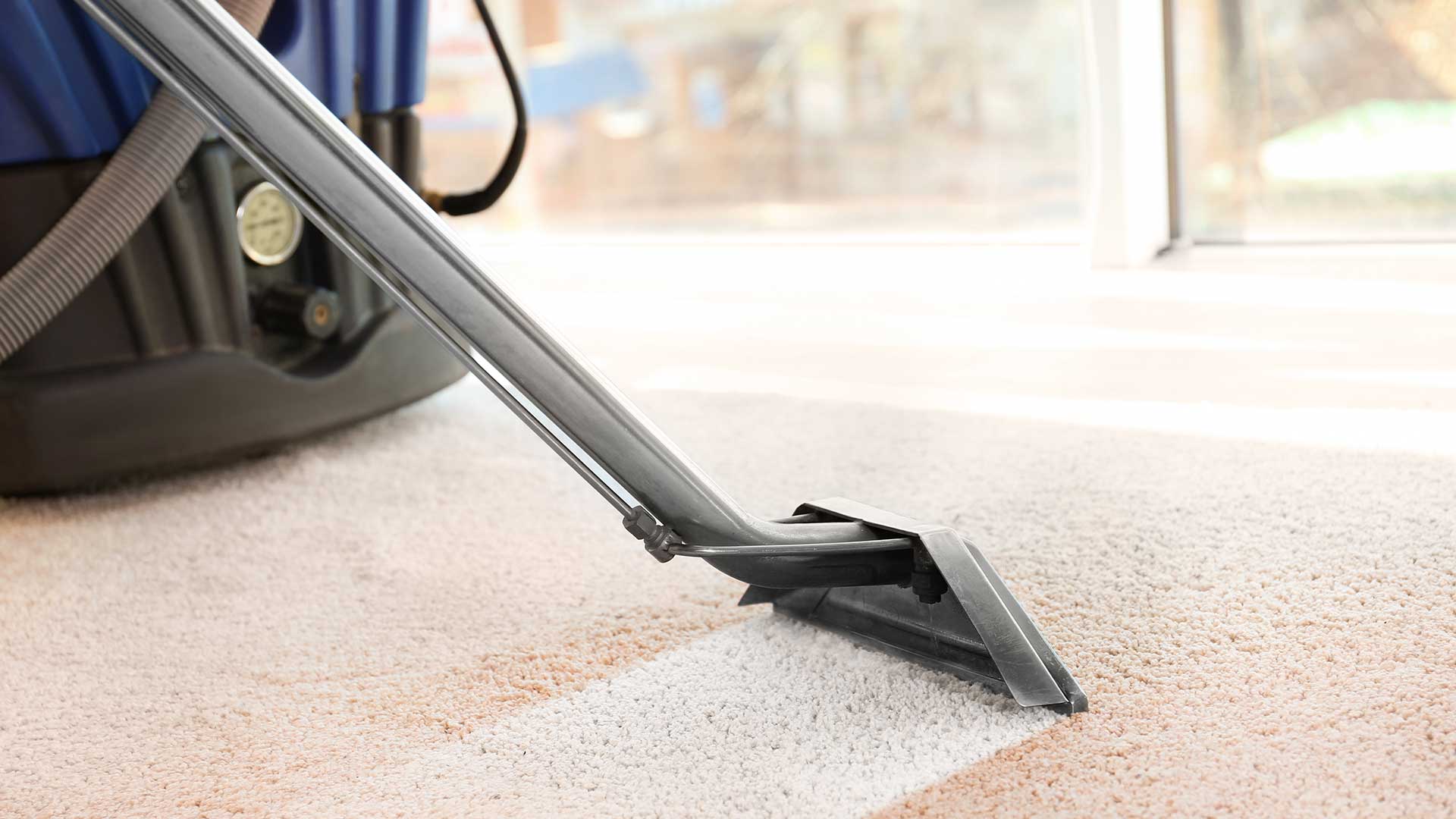 wet carpet extraction